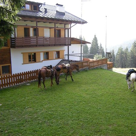 Hotel Piccolo Pocol Cortina dʼAmpezzo Exteriér fotografie