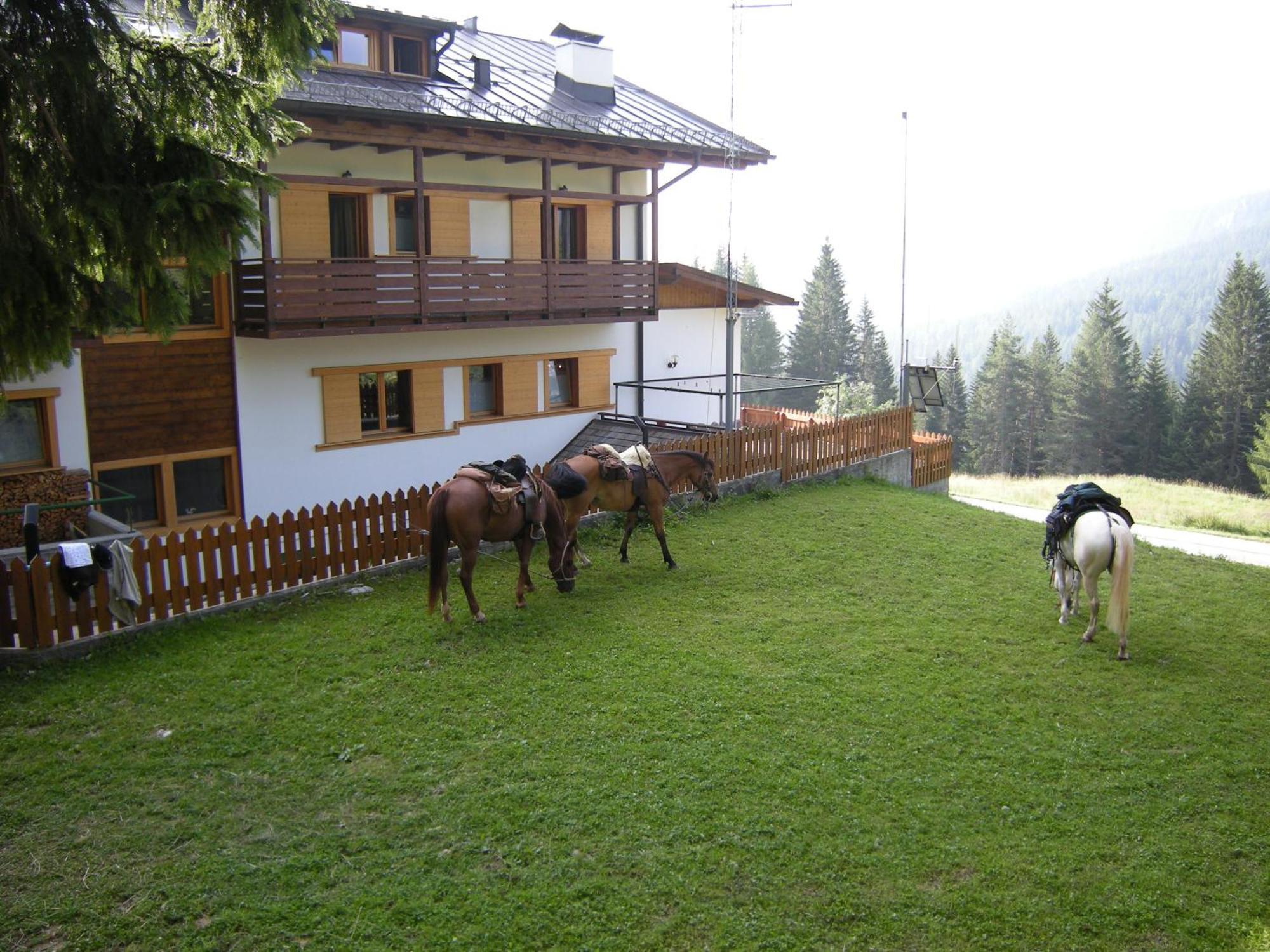 Hotel Piccolo Pocol Cortina dʼAmpezzo Exteriér fotografie